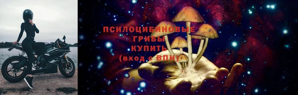mix Козловка