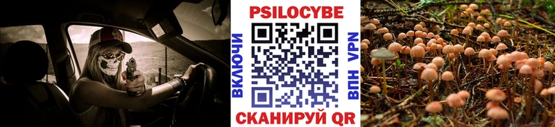 купить наркотик  Стрежевой  Галлюциногенные грибы Psilocybine cubensis 