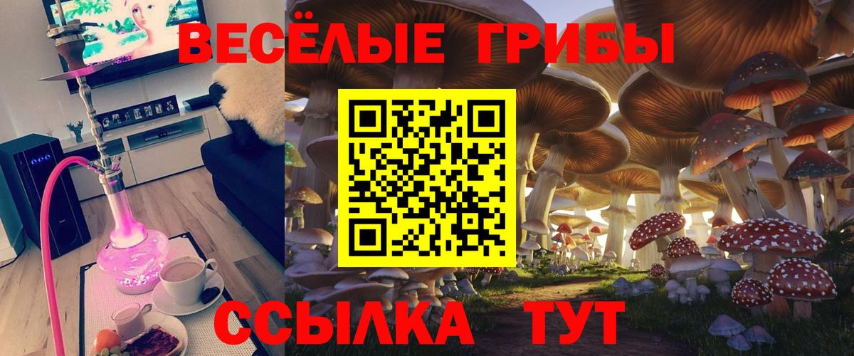 Стрежевой  Псилоцибиновые грибы Psilocybe  Вход с VPN 